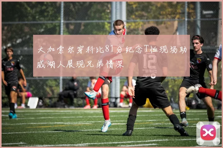 大加索尔穿科比81分纪念T恤现场助威湖人展现兄弟情深